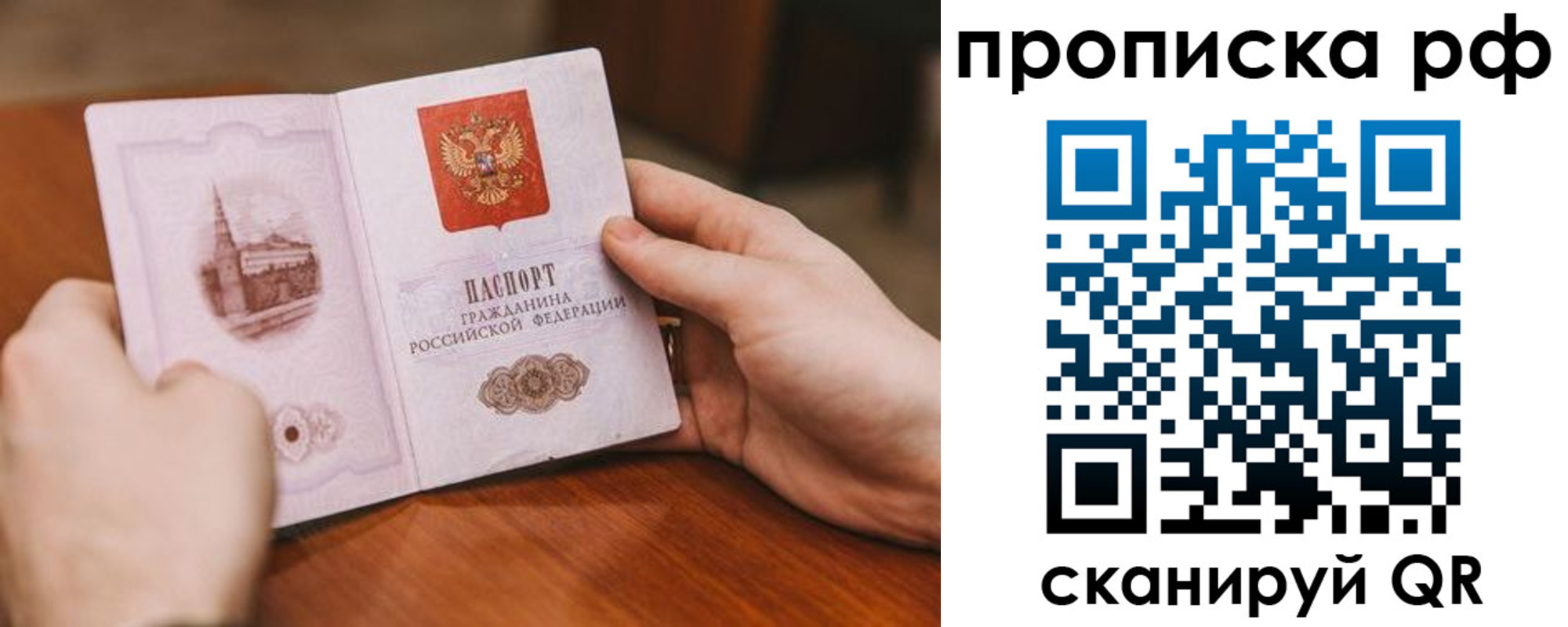 прописка поиск в Козельске